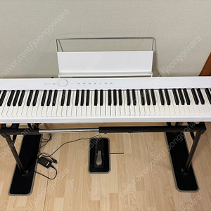 카시오 PX-S1000