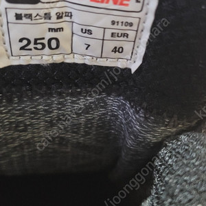 캠프라인 블랙스톰 알파