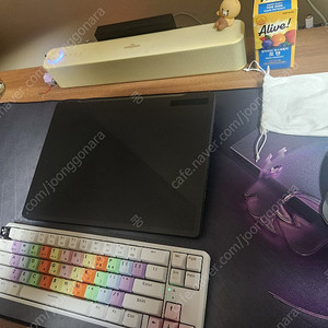 Asus g14 4080 32g 보증27년6월
