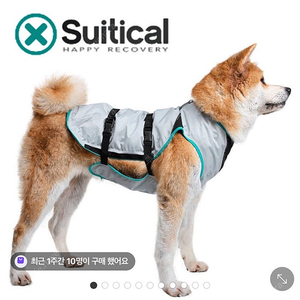 수티컬 드라이 쿨링 강아지 베스트 아이스 쿨조 끼 S사이즈
