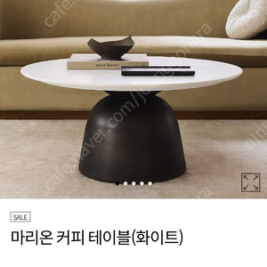 웨스트엘름 마리온 커피테이블