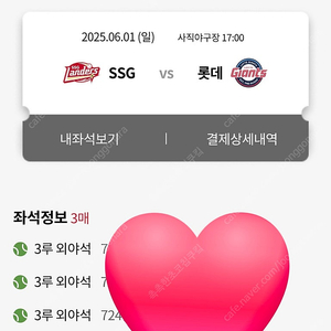 롯데자이언츠vs ssg 6월1일경기 외야