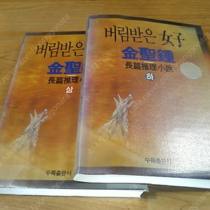 버림받은 여자 상,하 (실사진 설명참조) 김성종