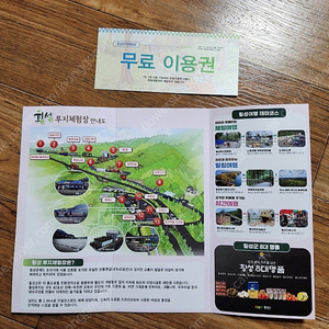 강원도 횡성 루지 체험장 무료이용권