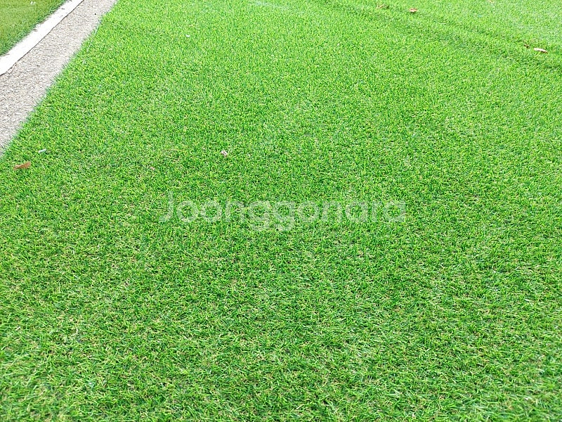 행사용 중고인조잔디 20mm 2mx 10m 11.5만원...--1
