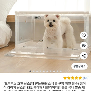 강아지 산소방