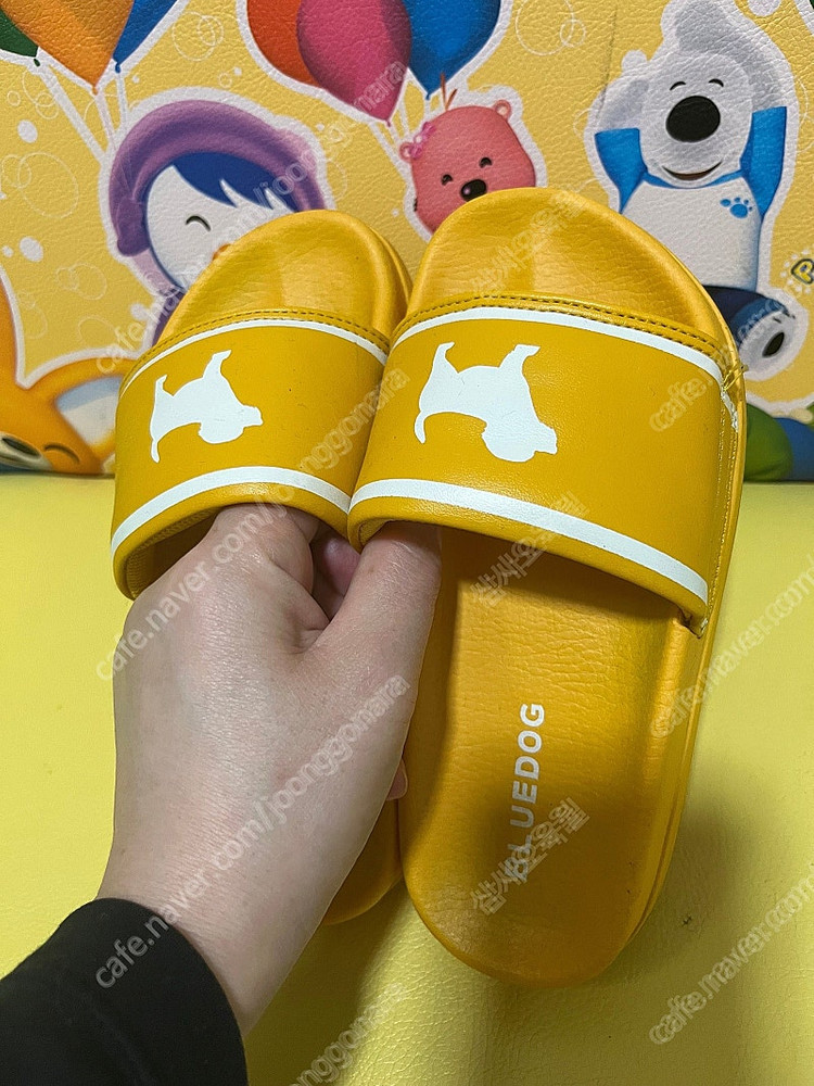 남아 브랜드 운동화, 풋살화 및 슬리퍼 팝니다. 뉴발란스, 노스페이스,MLB키즈,블루독--8