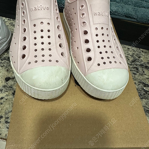 네이티브 연핑크 c11