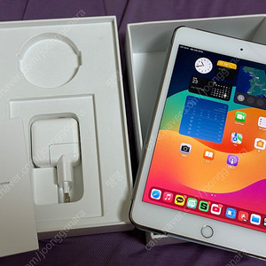 아이패드 미니5 64 골드