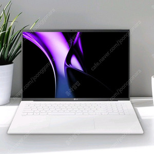 LG 그램 Pro 17 RTX3050 미개봉 새제품, 윈도우 포함