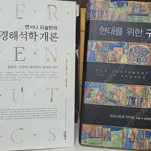 성경해석학, 현대를 위한 구약윤리, 너와 네 온 집은 방주로 들어가라, 성경비평주석, 복음서에 나타난 구약의 반향, 공관복음 입문, 요한서신