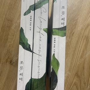 로맨스소설 김차차 쏘롱 써머
