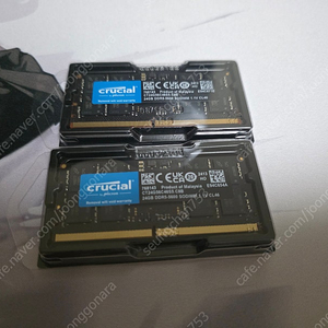 크루셜 ddr5 5600 24 x 2 노트북 램