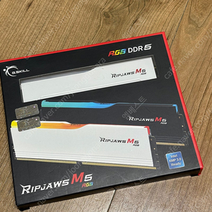 G.SKILL DDR5-6000 CL30 RIPJAWS M5 RGB 화이트 패키지 (32GB(16Gx2))