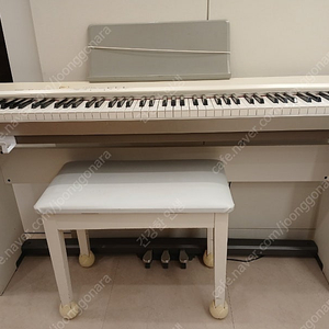 카시오 전자피아노 px130