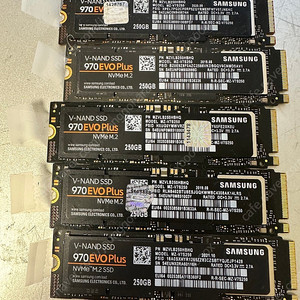 삼성 NVME SSD 970 EVO Plus 250GB
