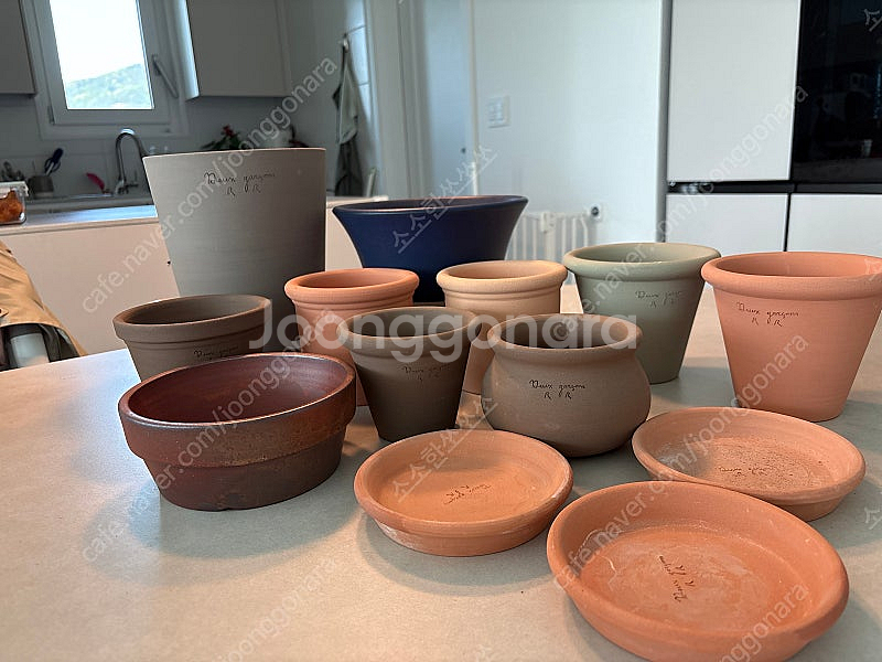 두갸르송 듀가르송 화분 새팟 일괄판매--0