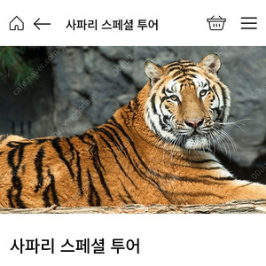 에버랜드 사파리스페셜투어 5월