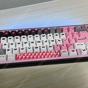 paw65 로터스 핑크축 키보드