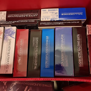 클럽G 한정 건프라