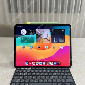 아이패드 프로 (13 M4 256G 스페이스 그레이) 와이파이
