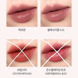 에스티로더 홀리데이컬렉션 퓨어컬러 립스틱 2개 일괄 하프문 셀레스티얼누드