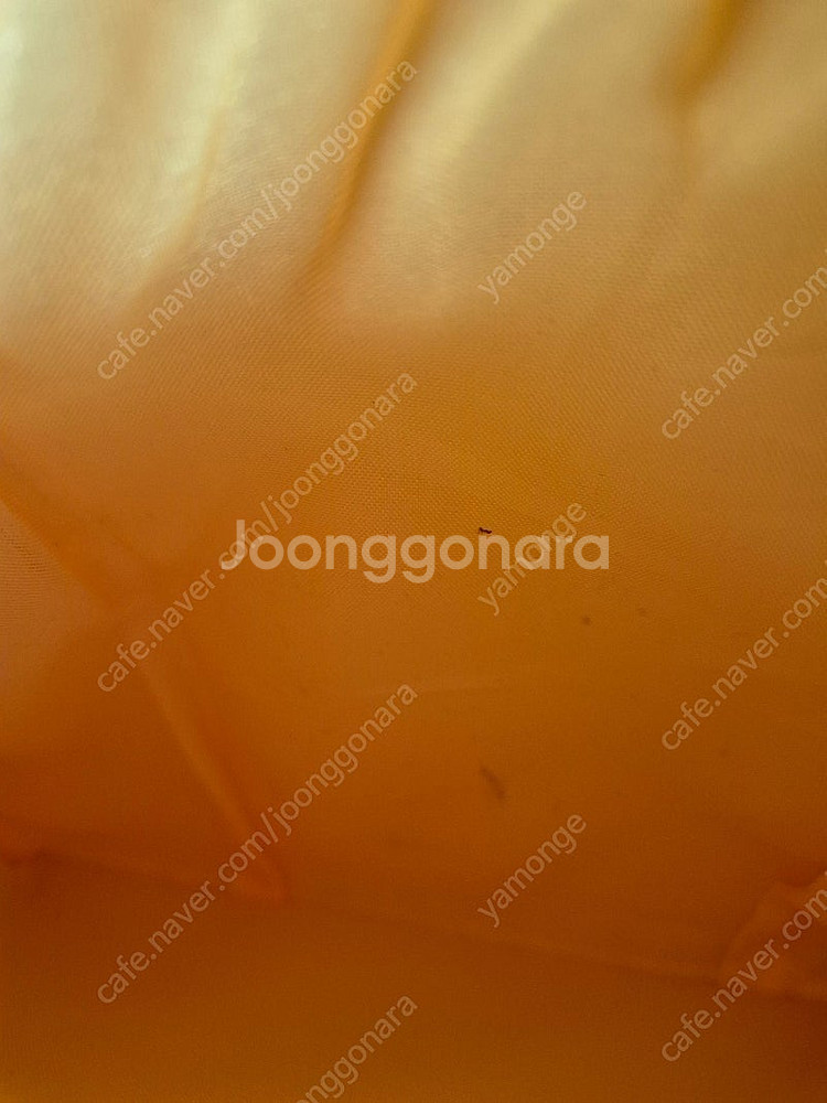 베베드피노 위니더푸 카툰 스쿨백--3