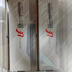 킹뱅크 DDR5 24GBx2 48GB 6800MHz 하이닉스 M 다이 메모리 화이트 RGB