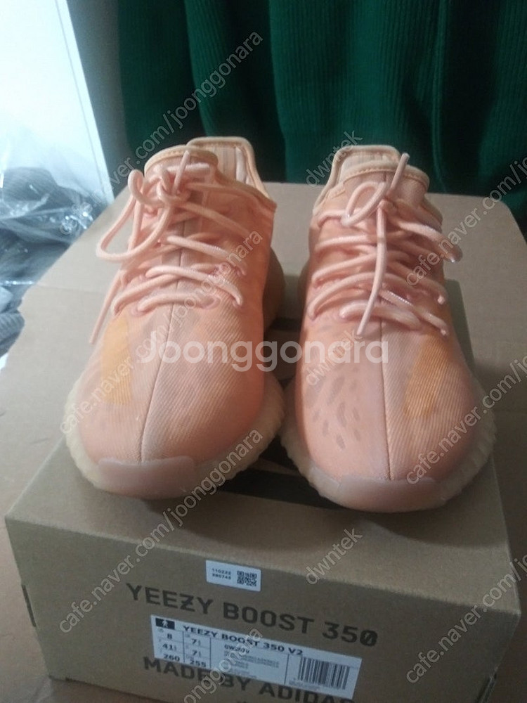 이지부스트350v2 260--0
