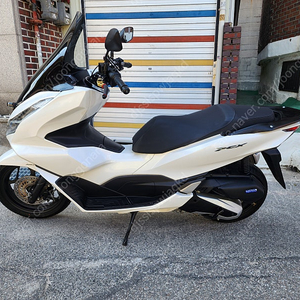 혼다 pcx125cc 흰색 2023년식