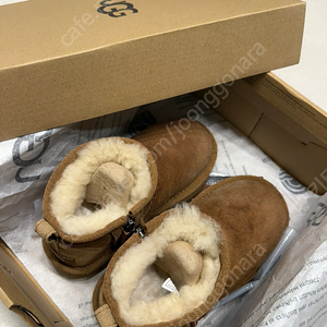 UGG 미국 울트라미니 부츠 175