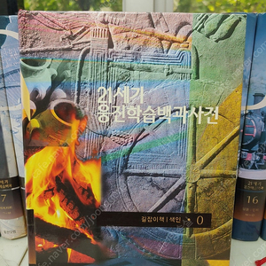 21세기 웅진학습백과사전