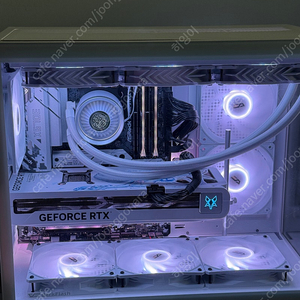 5070ti폴라폭스