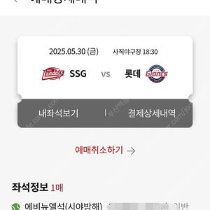 5/30 롯데자이언츠 vs ssg 애비뉴엘석(시야방해석)