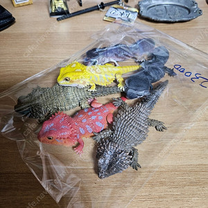 반다이 생물대도감 도마뱀 가챠