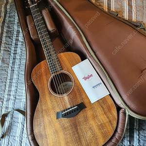 테일러 GS mini Koa 팝니다. 지에스 미니 코아 기타