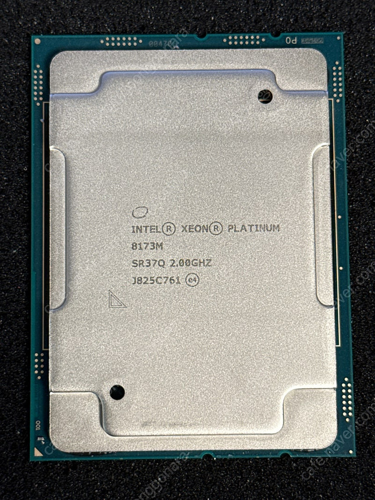 파이노드 용도 스케일러블 CPU Z8 G4 Z6 G4--8