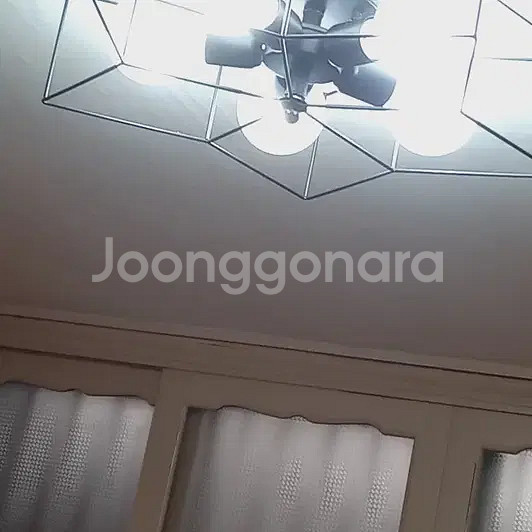 별모양 5성 전등 LED 실내 조명 ( 전구 포함 )--0