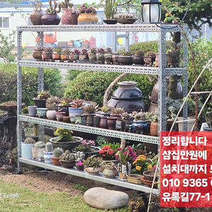 다육식물 일괄 판매합니다.