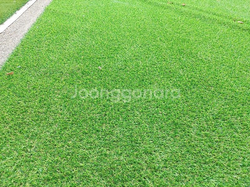 행사용 중고인조잔디 20mm 2mx 10m 10만원 택...--1