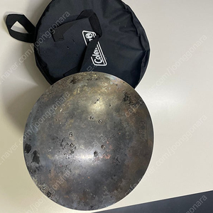 콜맨 파이어 디스크 30cm