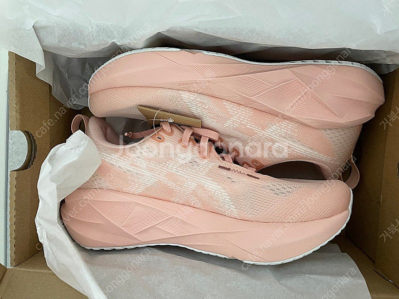 아식스 노바블라스트5 240 핑크--0