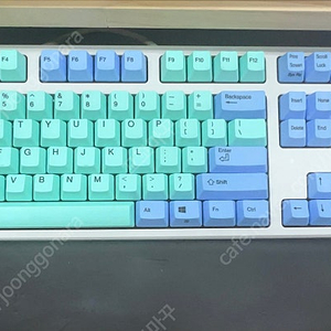 리얼포스r2 apc 45g 민트블루 풀윤활