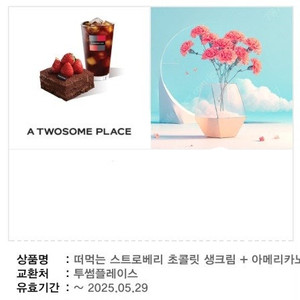 떠먹는 스트로베리 초콜릿 생크림 + 아메리카노 + 투썸 1천원권