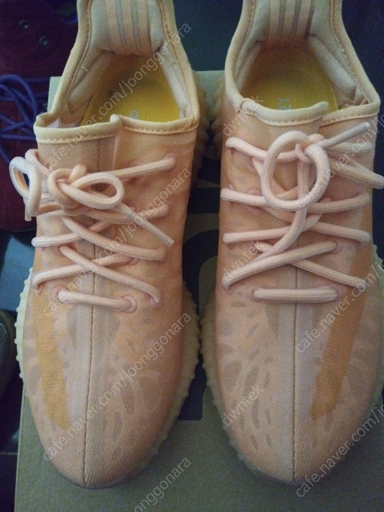 이지부스트 350v2 260싸게팝니다 이미지