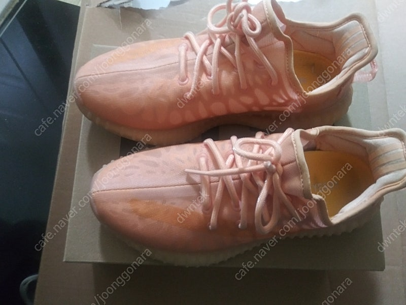 이지부스트 350v2 260싸게팝니다 이미지