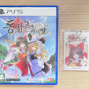 (네고가능) PS5 동방 스펠 카니발 , 스플래툰2 스타터 에디션