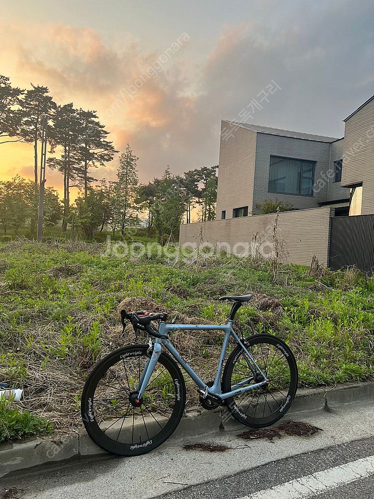 치넬리 레이져 미아 카본 로드 자전거--0