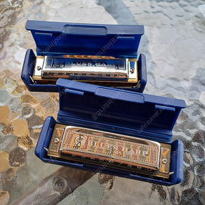 독일 Hohner 블루스하프 MS 하모니카 (E키 , G키)