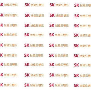 SKB(SK브로드밴드) 인터넷 양도합니다(23개월, 이전설치비 + 추가비용 4만원지원)